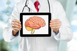 Сlipart brain doctor analysis analyzing anatomy   BillionPhotos