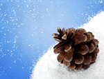 Сlipart golden spiral pinecone ratio background   BillionPhotos
