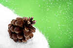Сlipart golden spiral pinecone ratio background   BillionPhotos
