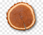 Сlipart Wood Tree Tree Ring Log Tree Trunk photo cut out BillionPhotos