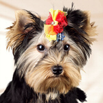 Сlipart Dog Scale Pets Contrasts Group Of Animals   BillionPhotos