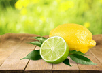 Сlipart Lemon Lime Citrus Fruit Portion Blossom   BillionPhotos