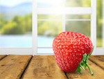 Сlipart Strawberry Red Fruit Single Object fresh fruit   BillionPhotos