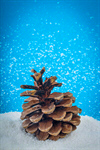 Сlipart Snow Winter Pine Cone Snowing Forest photo  BillionPhotos