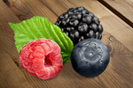 Сlipart blackberry fruit background berry black   BillionPhotos