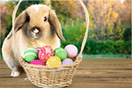 Сlipart easter rabbit spring cute forest   BillionPhotos