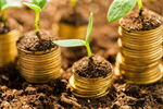 Сlipart growth business money green concept photo  BillionPhotos