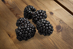 Сlipart blackberry fruit background berry black   BillionPhotos