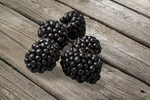 Сlipart blackberry fruit background berry black   BillionPhotos