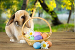 Сlipart easter rabbit spring cute forest   BillionPhotos