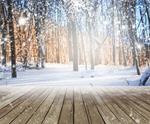 Сlipart winter background nature backdrop blurred   BillionPhotos