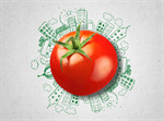 Сlipart tomatoes tomato tomatoe isolated balls   BillionPhotos