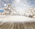 Сlipart winter background nature backdrop blurred   BillionPhotos