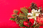 Сlipart Poinsettia Christmas Christmas Decoration Christmas Ornament Flower photo  BillionPhotos