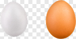 Сlipart Eggs Animal Egg White Isolated Brown photo cut out BillionPhotos