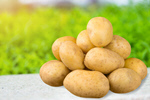 Сlipart potato bag crop vegetable farm   BillionPhotos