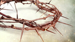 Сlipart Jesus Christ Crown Of Thorns Crown Easter Thorn   BillionPhotos