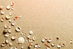 Сlipart sand beach sea shell summer   BillionPhotos