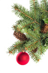 Сlipart Christmas Fir Tree Christmas Ornament Pine Cone Decoration photo  BillionPhotos