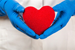 Сlipart Heart Transplant Transplant Surgery Heart Shape Heart Surgery Cardiologist photo  BillionPhotos