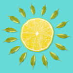Сlipart art fruit lemon minimal sun   BillionPhotos