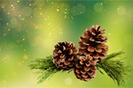Сlipart Pine Pine Cone Christmas Decoration Decoration Isolated   BillionPhotos