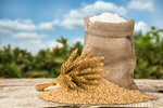 Сlipart grain wheat sack barley healthy   BillionPhotos