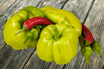 Сlipart Chili Pepper Pepper Bell Pepper Mexico Mexican Culture   BillionPhotos