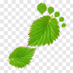 Сlipart Environment Green Environmental Conservation Leaf Footprint 3d cut out BillionPhotos