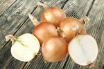 Сlipart Onion Isolated White Shallot Yellow   BillionPhotos