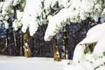 Сlipart Winter landscape winter scene snow wallpaper photo  BillionPhotos