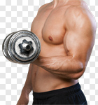 Сlipart Exercising Weights Bicep Weight Training Weightlifting photo cut out BillionPhotos