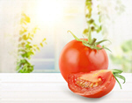 Сlipart tomato leaf background closeup drop   BillionPhotos