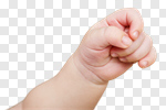 Сlipart hand newborn child human hand baby photo cut out BillionPhotos