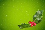 Сlipart holly christmas leaf xmas beautiful   BillionPhotos