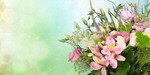 Сlipart Flower Bouquet Tulip Vase Cut Flowers   BillionPhotos