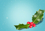Сlipart holly christmas leaf xmas beautiful   BillionPhotos