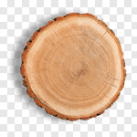 Сlipart Wood Tree Tree Ring Log Tree Trunk photo cut out BillionPhotos