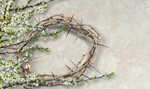 Сlipart thorns crown week background backgrounds   BillionPhotos