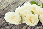 Сlipart Wedding Flower Rose Bouquet White   BillionPhotos