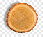 Сlipart Wood Tree Tree Ring Circle Log photo cut out BillionPhotos