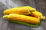 Сlipart corn background maize sweet food   BillionPhotos