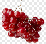 Сlipart grape bunch background berry branch photo cut out BillionPhotos