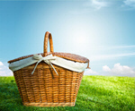 Сlipart Picnic Basket Picnic Basket Grass Flower   BillionPhotos