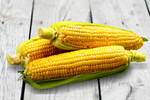 Сlipart corn background maize sweet food   BillionPhotos