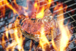 Сlipart meat grill bbq steak beef   BillionPhotos