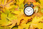 Сlipart alarm alarm clock alert autumn backdrop   BillionPhotos