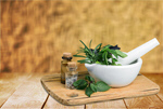 Сlipart herb herbal mortar green summer   BillionPhotos