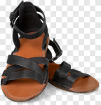 Сlipart Sandal Shoe Isolated Pair Comfortable photo cut out BillionPhotos