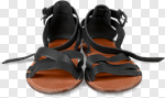 Сlipart Sandal Shoe Isolated Pair Comfortable photo cut out BillionPhotos